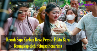 Kisruh Sapi Kurban Dewi Persik Fakta Baru Terungkap oleh Petugas Penerima