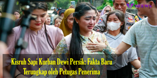 Kisruh Sapi Kurban Dewi Persik Fakta Baru Terungkap oleh Petugas Penerima